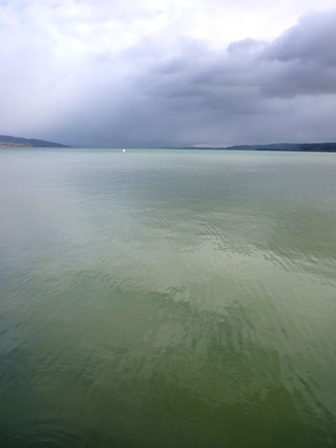 denis matthey-claudet