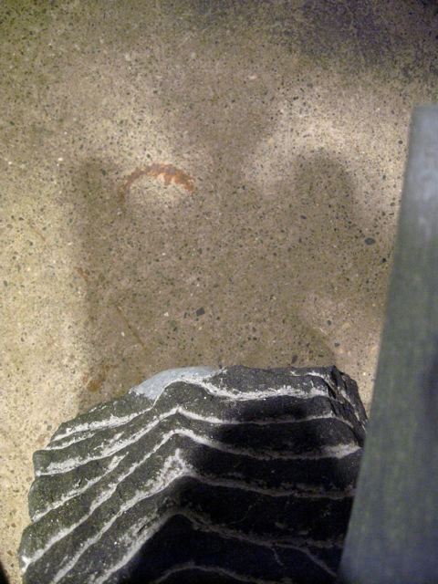 denis matthey-claudet