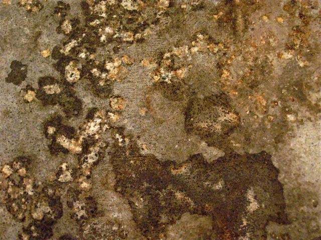 denis matthey-claudet