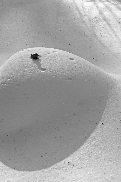 DSC01029 - Version 2