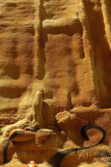 DSC06000 - Version 2