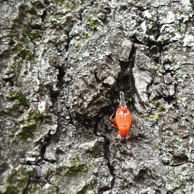 P1080970 - Version 2